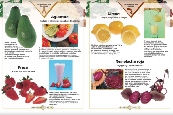 Enciclopedia de los Alimentos - Imagen 5