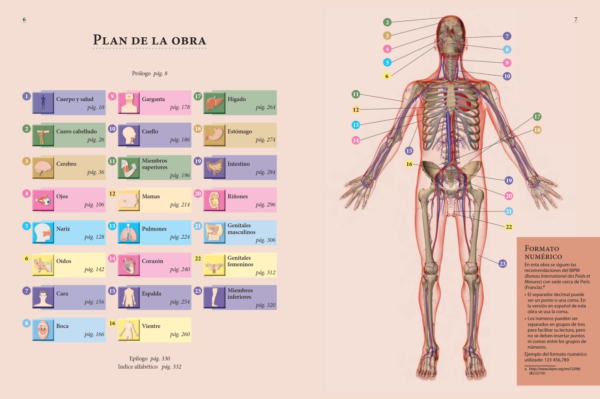 Cuerpo Saludable - Imagen 2