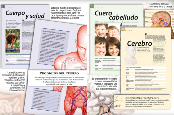 Cuerpo Saludable - Imagen 3