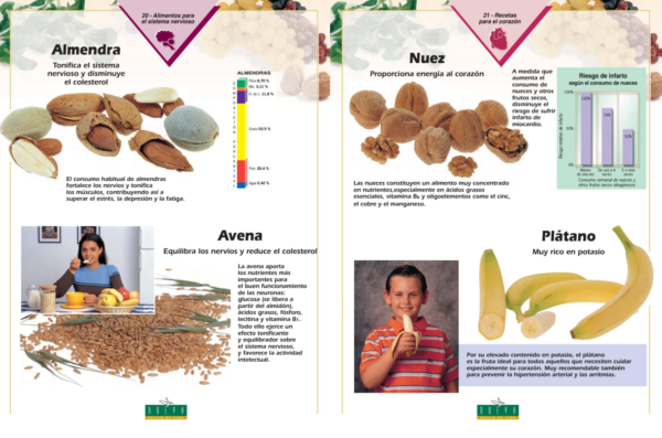 El Poder Medicinal de los Alimentos - Imagen 4