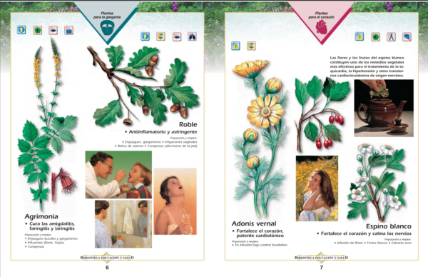 Enciclopedia de las Plantas Medicinales - Imagen 4