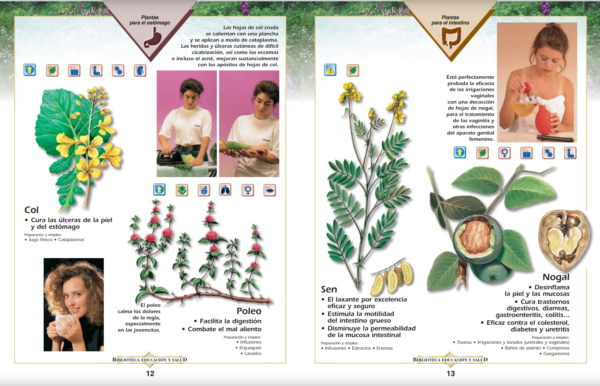 Enciclopedia de las Plantas Medicinales - Imagen 7