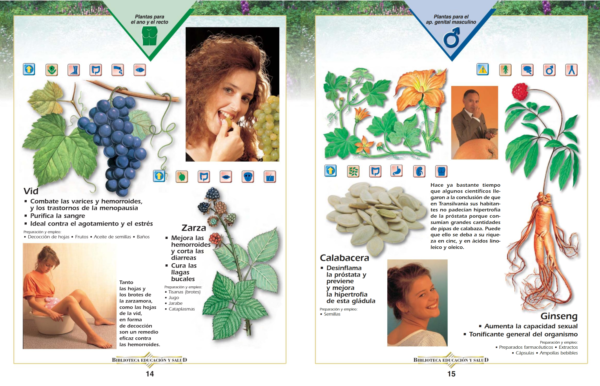 Enciclopedia de las Plantas Medicinales - Imagen 8