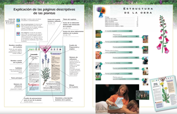 El Poder Medicinal de las Plantas - Imagen 2