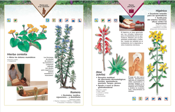 El Poder Medicinal de las Plantas - Imagen 10