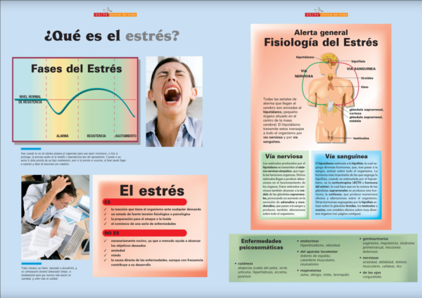 ¡Sin Estrés! - Imagen 2