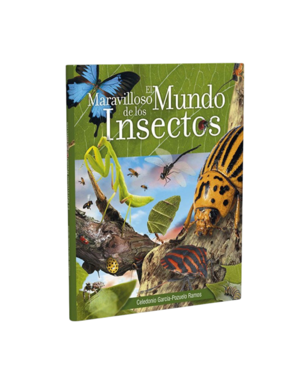 El Maravilloso Mundo de los Insectos